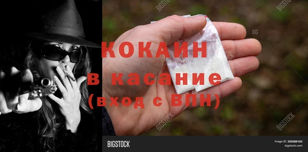 крисы Пересвет