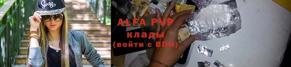 spice Гусев