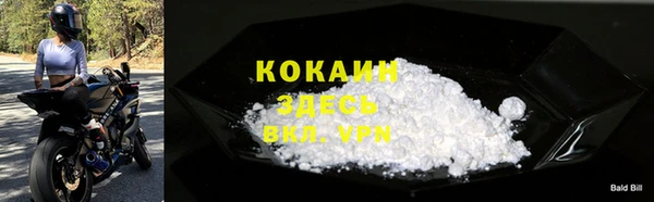 spice Гусев