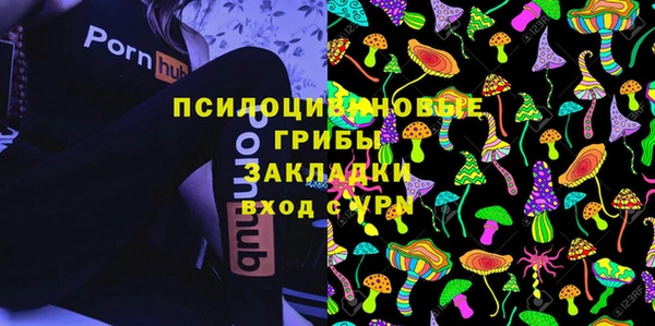 spice Гусев