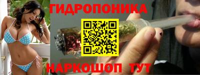 дурь Гагарин