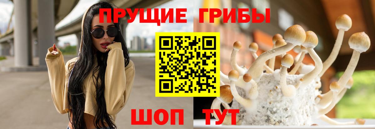 Псилоцибиновые грибы Magic Shrooms Елизово